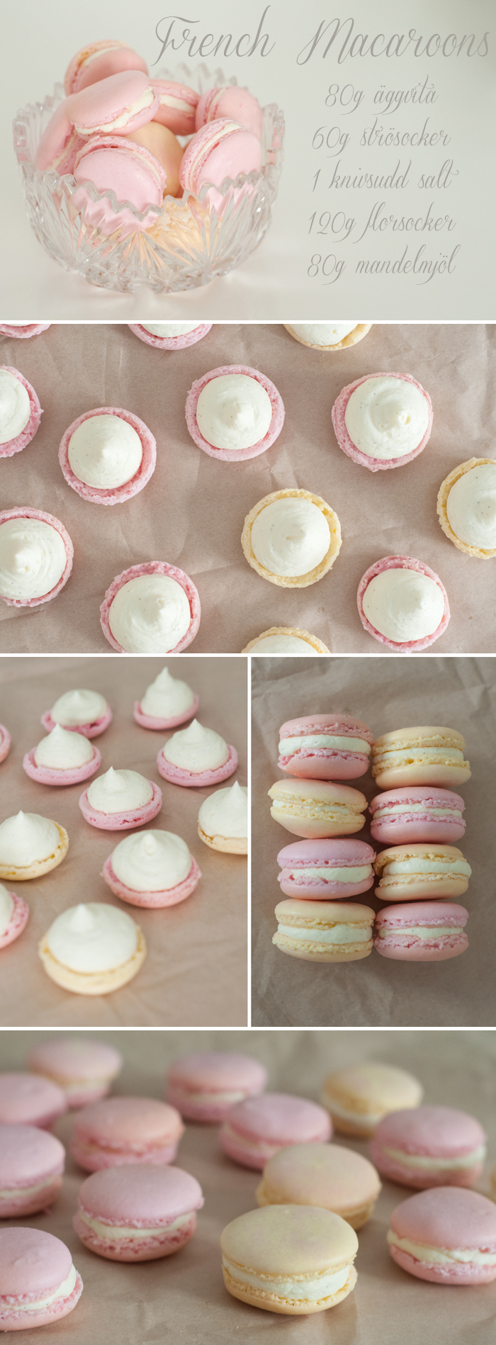 macaroons